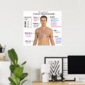 Belangrijkste symptomen van de toxiciteitgrafiek v poster (Thuiskantoor)