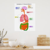 Belangrijkste symptomen van een influenzageïnfecte poster (Keuken)