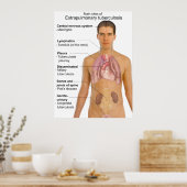 Belangrijkste symptomen van extrapulmonale tubercu poster (Keuken)