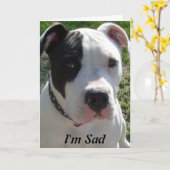 Belated Birthday Card with Pittbull Dog Kaart (Gele Bloem)