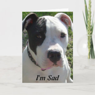 Belated Birthday Card with Pittbull Dog Kaart