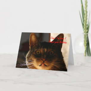 Belated Birthday CAT Kaart