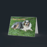 Belated Birthday-customize Kaart<br><div class="desc">Ol' Duke was my Dad's dog and Daddy's spoiled him rotten with cookies. Australian Shepherds make wonderful companions. Use the gevoel inside or change to your words with my easy template.</div>