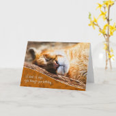 Belated Birthday Funny Cougar Painting Kaart (Gele Bloem)