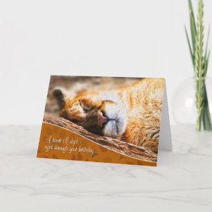 Belated Birthday Funny Cougar Painting Kaart