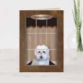 Belated Birthday - Golden Doodle - Window Kaart (Voorkant)