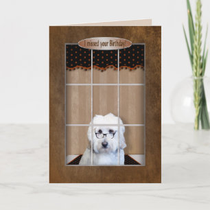 Belated Birthday - Golden Doodle - Window Kaart