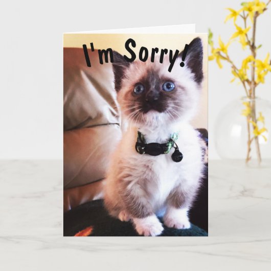 Belated Birthday I'm Sorry Cute Siamese Kitten Kaart (Gele Bloem)
