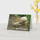 Belated Birthday Kaart (Gele Bloem)