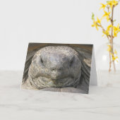 Belated Birthday Kaart (Gele Bloem)