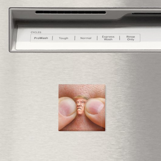 belazeren magneet (Insitu (Vaatwasser))