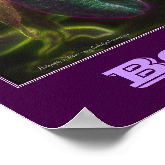 Beleef het Inspirerend Fairy en Lady Slipper Poster (Hoek)