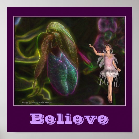 Beleef het Inspirerend Fairy en Lady Slipper Poster (Voorkant)