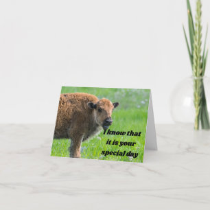 BELEEFDE BABY BUFFALO ZEGT ***FIJNE VERJAARDAG** KAART