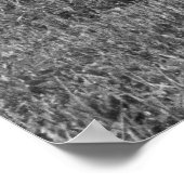  belemmering - 1962 Dodge Wagon - Nemesis Poster (Hoek)