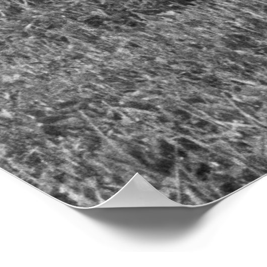  belemmering - 1962 Dodge Wagon - Nemesis Poster (Hoek)