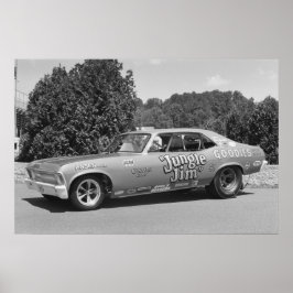  belemmering - Oerwoud Jim 1 Poster