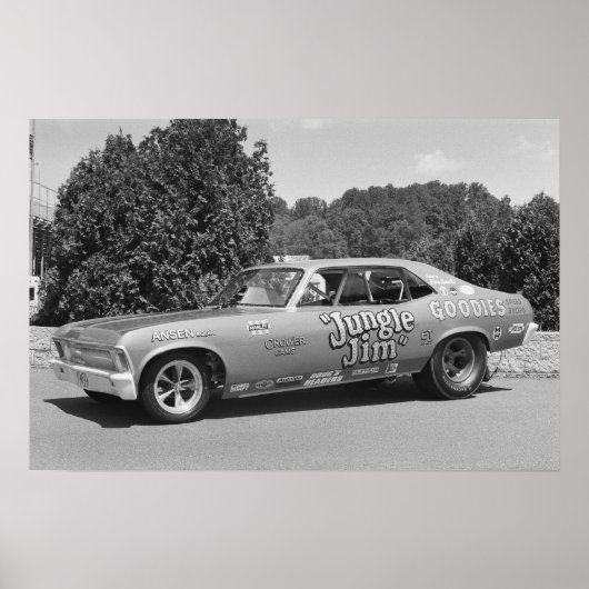 belemmering - Oerwoud Jim 1 Poster (Voorkant)