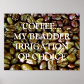 BELEMMERING VAN DE KEUZE POSTER (Voorkant)