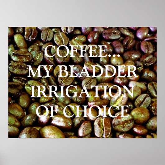 BELEMMERING VAN DE KEUZE POSTER (Voorkant)