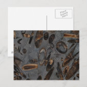 Belemnites Briefkaart (Voorkant / Achterkant)