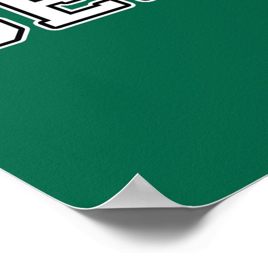 Belfast Poster (Hoek)