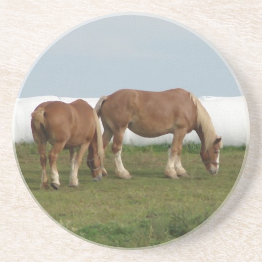 Belgen Zandsteen Onderzetter (Voorkant)