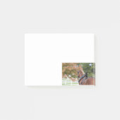 Belgian Draft Horse Post schrijft Post-it® Notes (Voorkant)