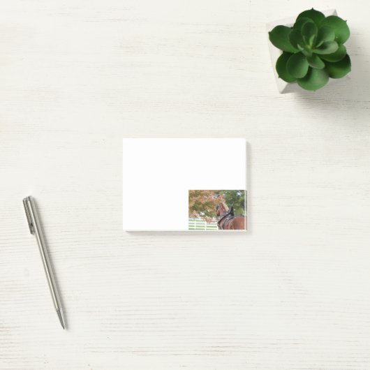 Belgian Draft Horse Post schrijft Post-it® Notes (Kantoor)