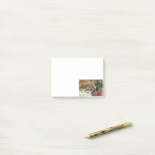 Belgian Draft Horse Post schrijft Post-it® Notes (Op bureau)