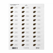 Belgian Horse Draft Team Return Address Labels (Full Sheet)