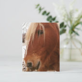 Belgian Horse Gelding Briefkaart (Staand voorkant)