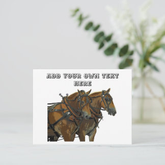 Belgian Horse Team All Purpose Postcard Briefkaart