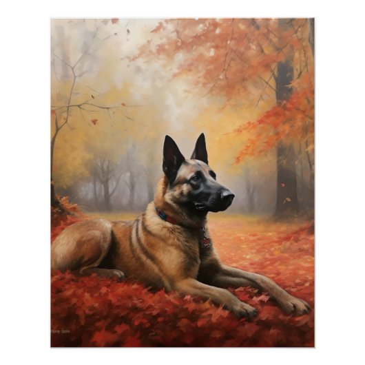 Belgian Malinoi in de herfst laat Herfst inspirere Perfect Poster (Voorkant)