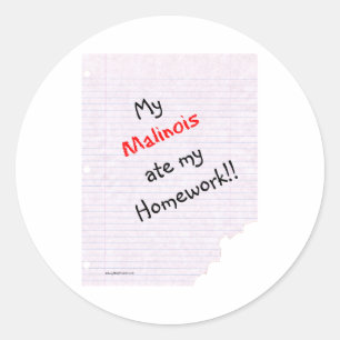 Belgian Malinois at mijn huiswerk - Sticker