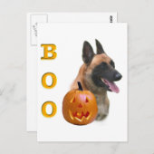 Belgian Malinois Boo Briefkaart (Voorkant / Achterkant)