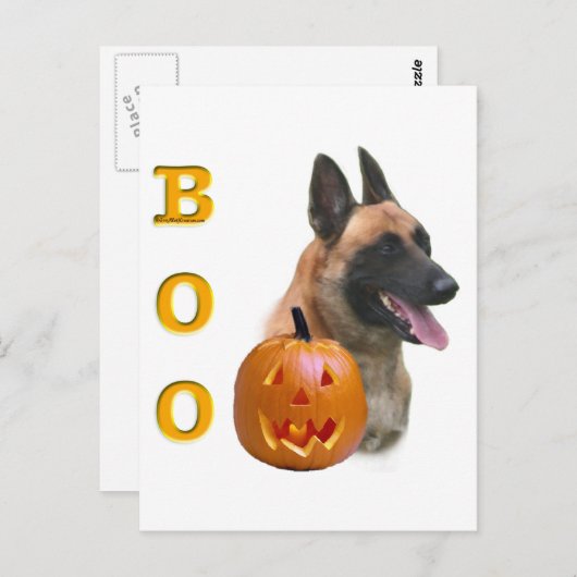 Belgian Malinois Boo Briefkaart (Voorkant / Achterkant)