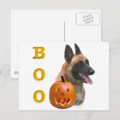 Belgian Malinois Boo Briefkaart (Voorkant / Achterkant)