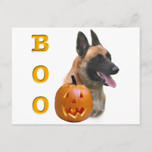 Belgian Malinois Boo Briefkaart