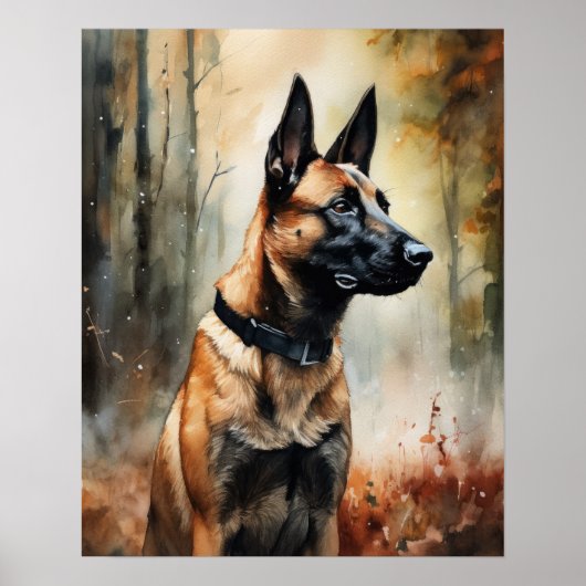 Belgian Malinois Dog Art Print Poster (Voorkant)