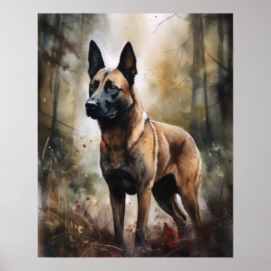 Belgian Malinois Dog Art Print Poster (Voorkant)