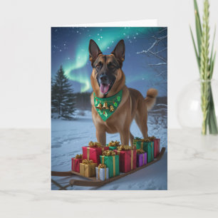 Belgian Malinois Dog Christmas Wenskaart Kaart