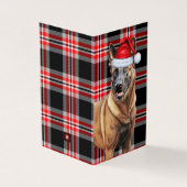 Belgian Malinois Dog Red Plaid Holiday Kaart (Buitenkant)