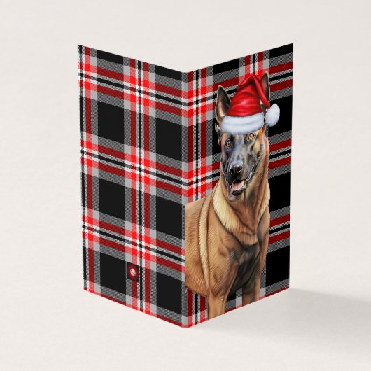 Belgian Malinois Dog Red Plaid Holiday Kaart (Buitenkant)