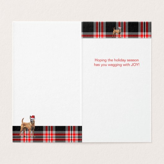 Belgian Malinois Dog Red Plaid Holiday Kaart (Binnenkant ongevouwen)