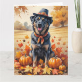 Belgian Malinois in Autumn verlaat Thanksgiving Kaart (Voorkant)