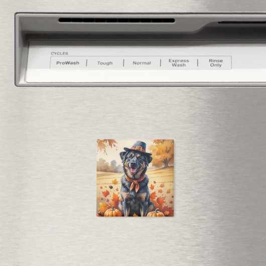 Belgian Malinois in Autumn verlaat Thanksgiving Magneet (Insitu (Vaatwasser))