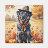 Belgian Malinois in Autumn verlaat Thanksgiving Magneet (Voorkant)