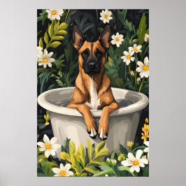 Belgian Malinois In Bathtub Poster, Funny Dog Poster