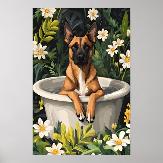 Belgian Malinois In Bathtub Poster, Funny Dog Poster (Voorkant)